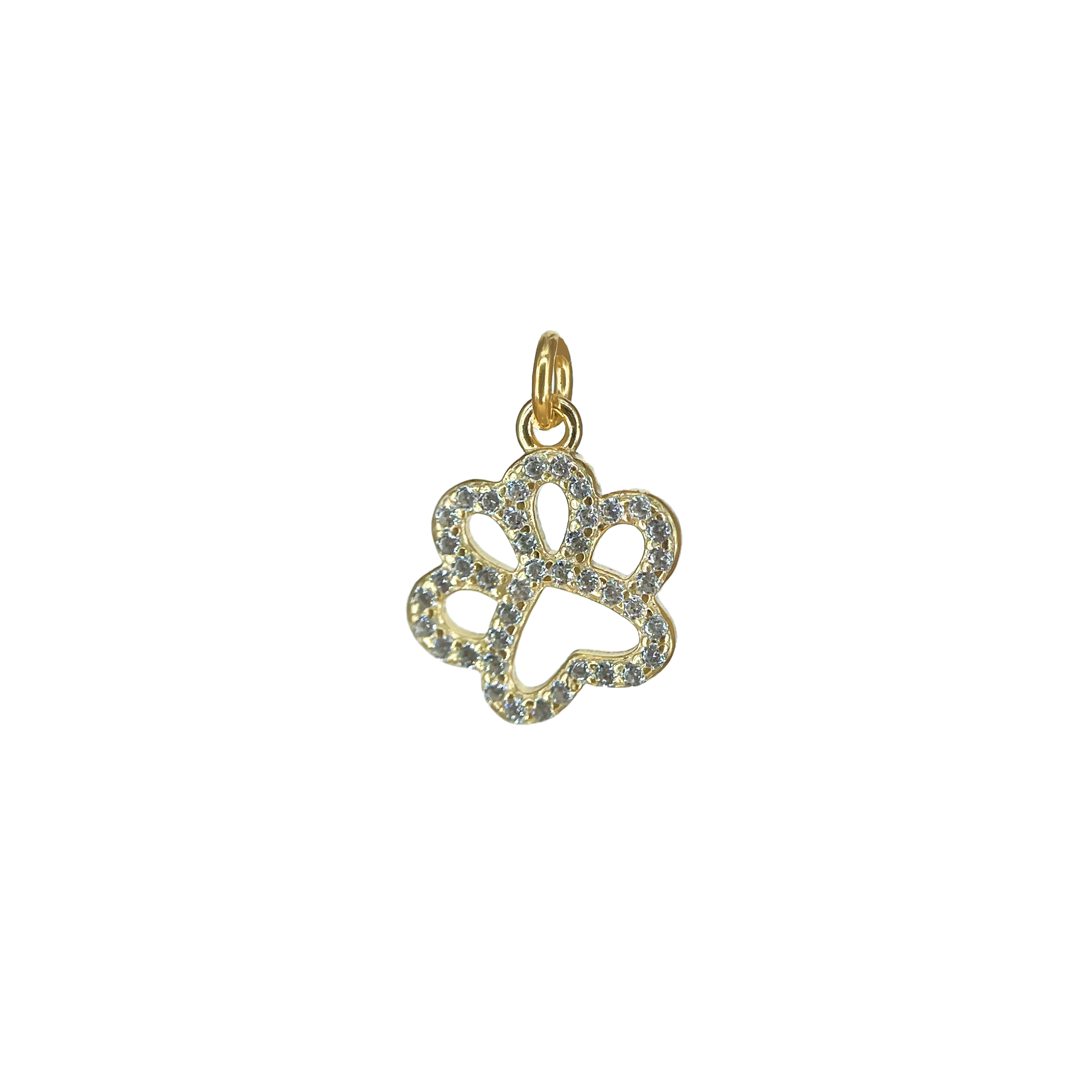 Charm Zampa in Argento 925 - Laei