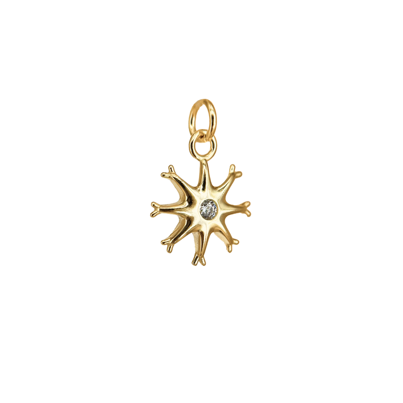 Charm Neurone in Argento 925