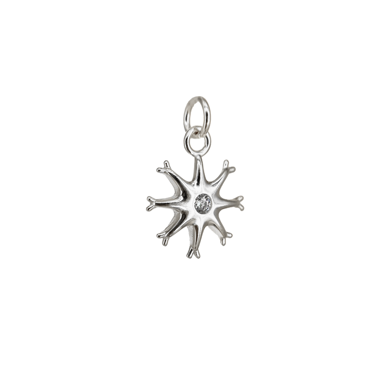 Charm Neurone in Argento 925