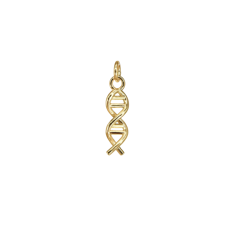 Charm Dna in Argento 925