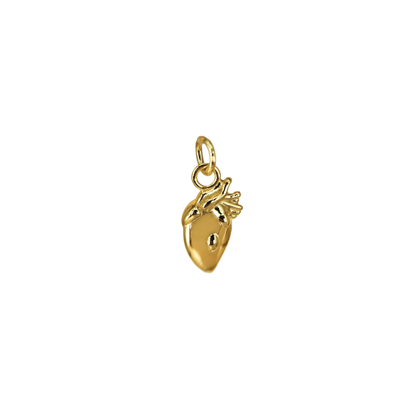 Charm Cuore Anatomico in Argento 925