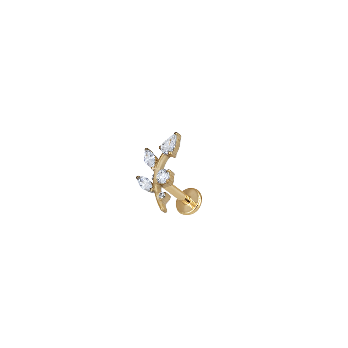 Piercing Foglia