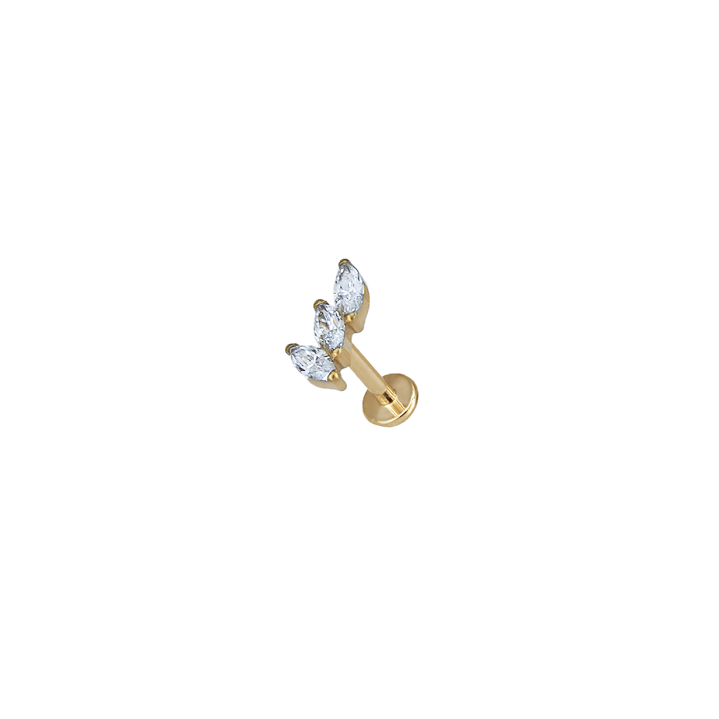 Piercing Mini Wings