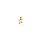 Charm Zodiaco in Argento 925