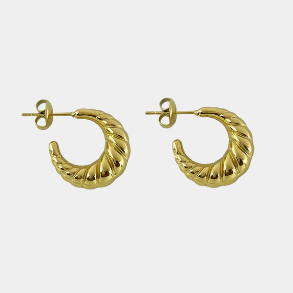 Eden earrings