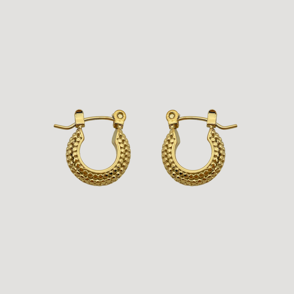 Samaira earrings