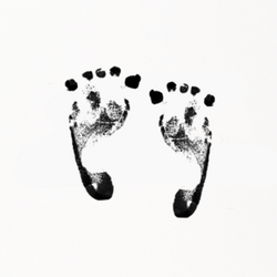 IMPRONTE